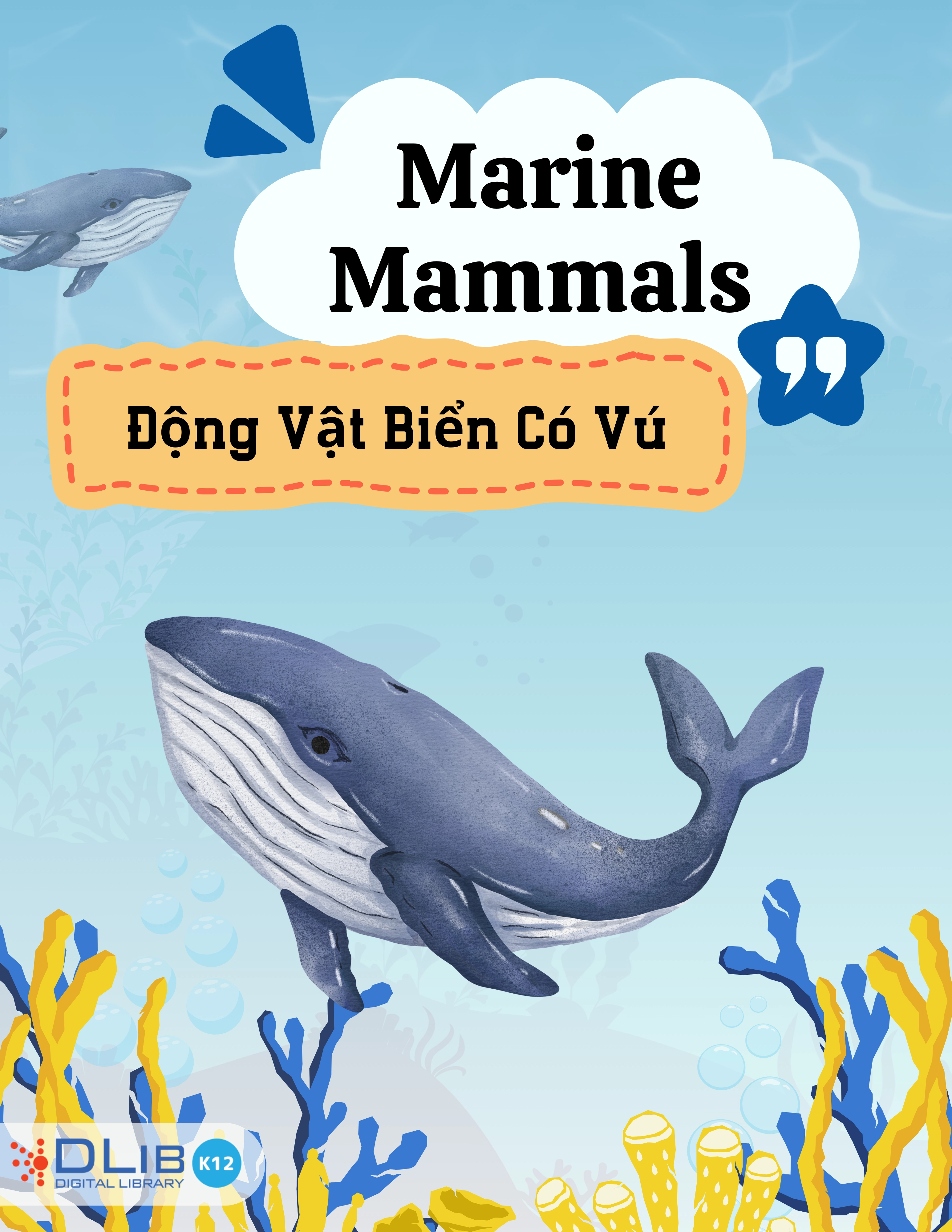 Marine Mammals - Động Vật Biển Có Vú