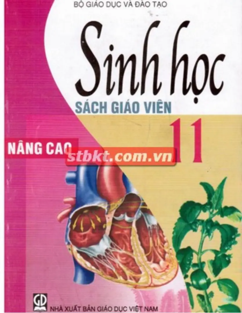 Sách giáo viên Sinh học 11 Nâng cao