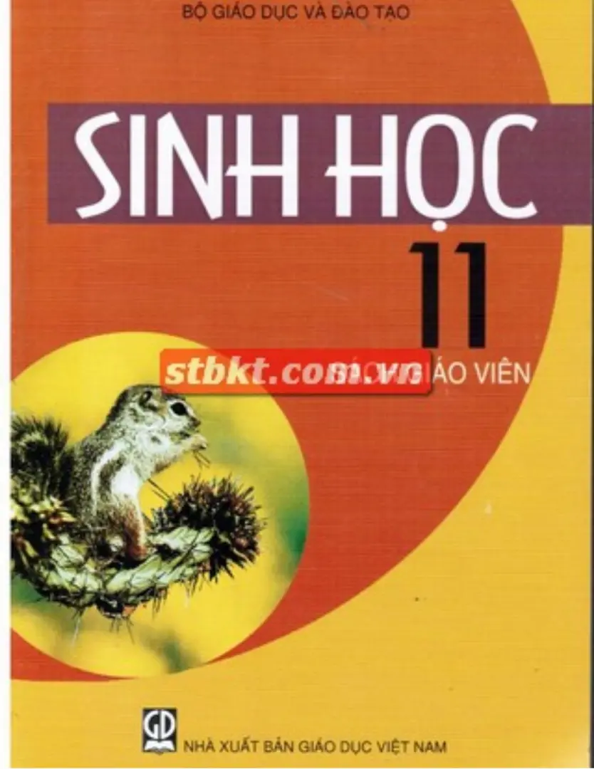 Sách giáo viên Sinh học 11