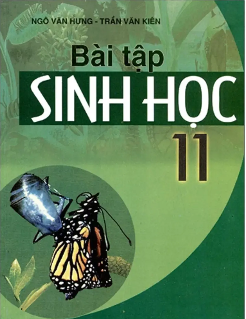 Sách bài tập Sinh học 11