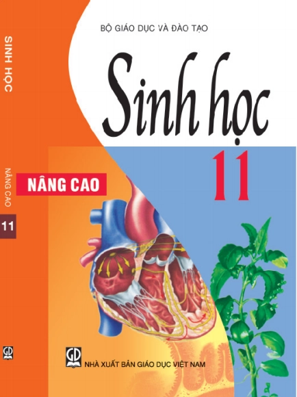 Sách giáo khoa Sinh Học 11 - Nâng cao