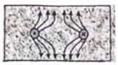 Pasted image