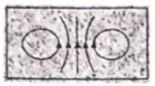 Pasted image