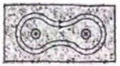 Pasted image