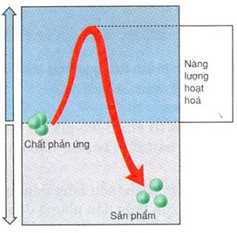 Pasted image