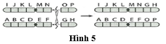 Pasted image