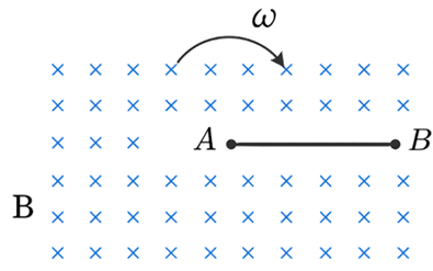 Pasted image