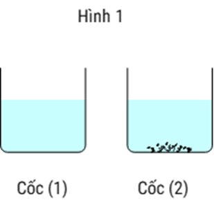 Pasted image