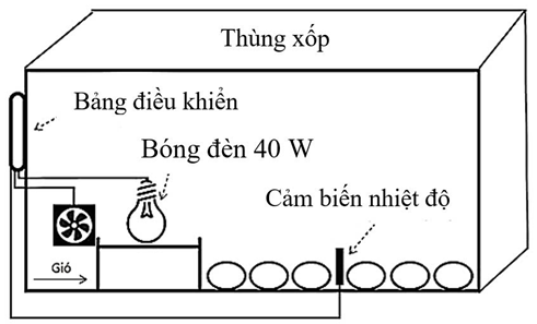 Pasted image