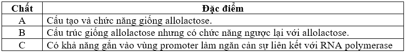 Pasted image