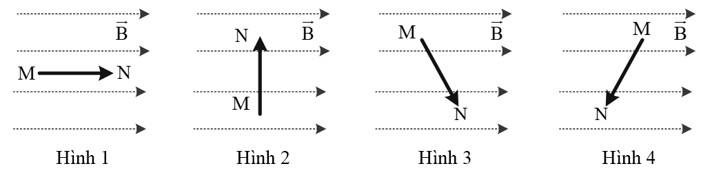 Pasted image