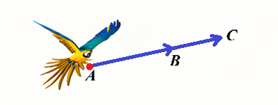 Pasted image