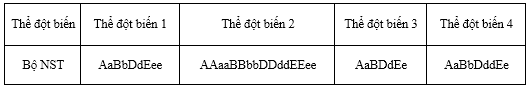 Pasted image