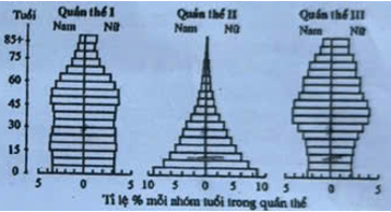 Pasted image