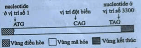 Pasted image