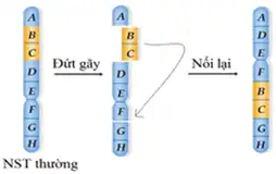 Pasted image