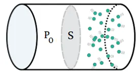 Pasted image