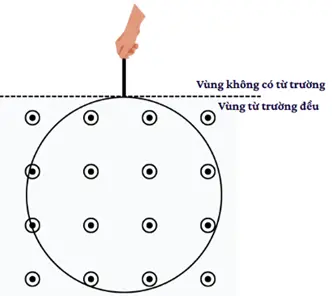 Pasted image