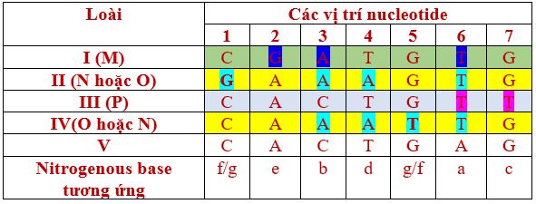 Pasted image
