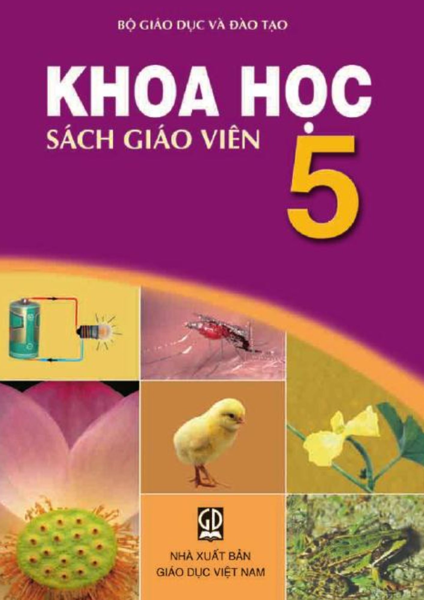 Sách giáo viên Khoa học 5