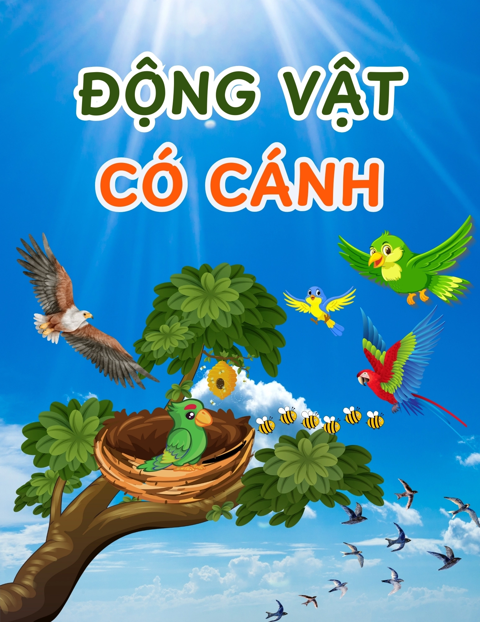 Flashcard Động Vật Có Cánh
