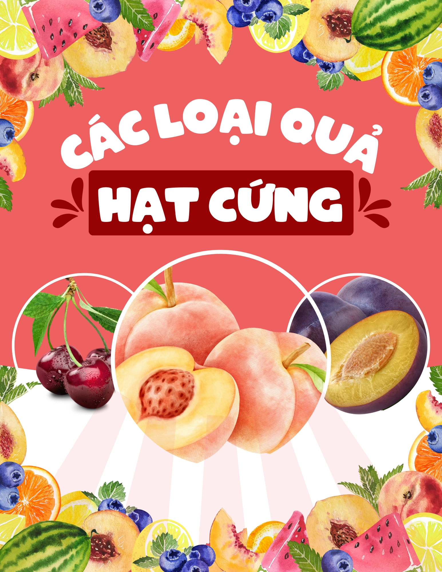 Flashcard Các Loại Quả Hạt Cứng