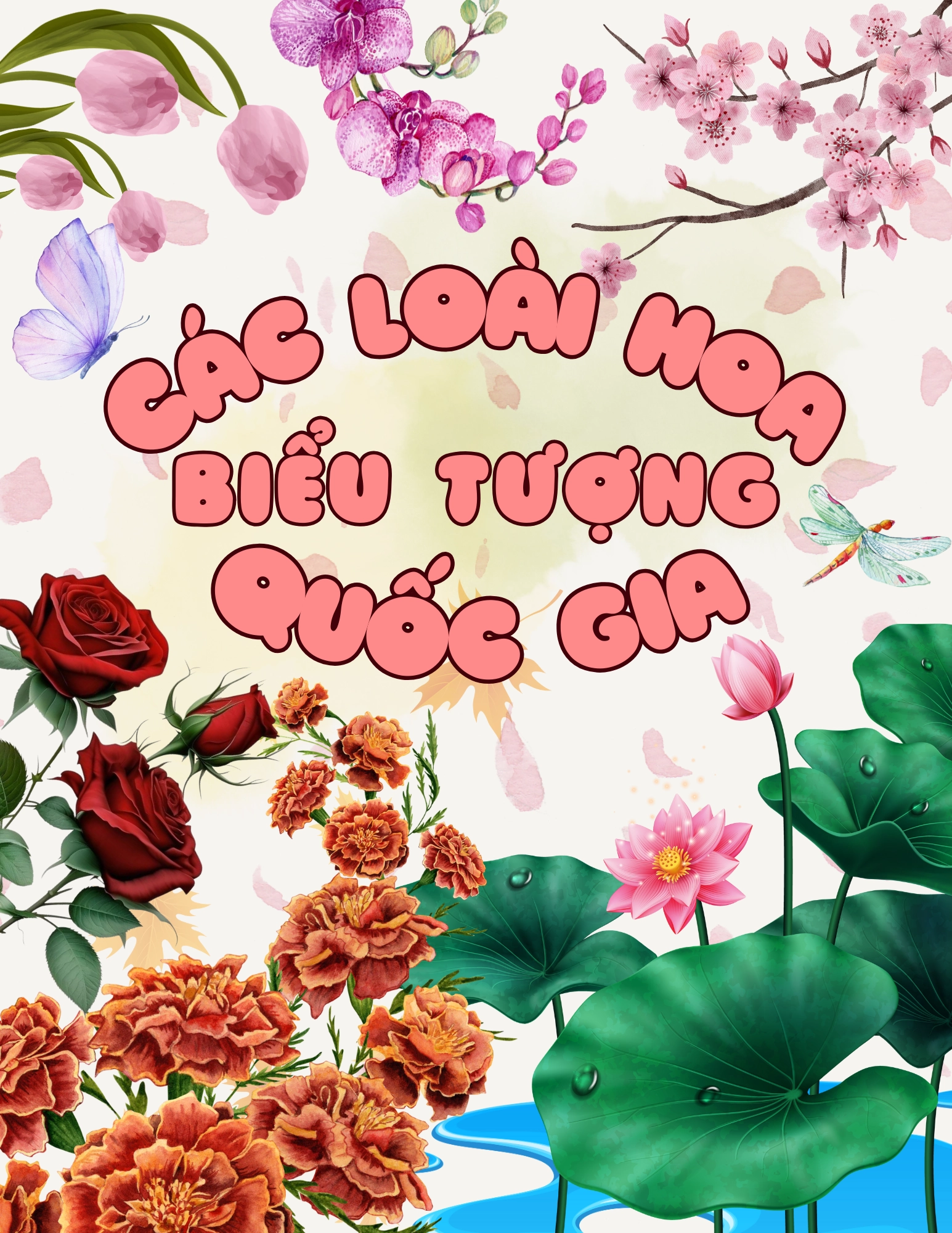 Flashcard Các Loài Hoa Biểu Tượng Quốc Gia