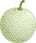 Pasted image
