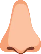 Pasted image