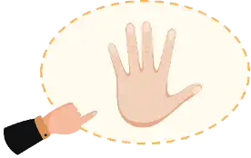 Pasted image