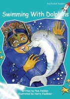 Swimming With Dolphins