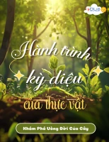 Hành trình kỳ diệu của thực vật - Khám Phá Vòng Đời Của Cây