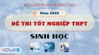 Đề Thi Tốt Nghiệp THPT Quốc Gia Năm 2025 - Sinh Học