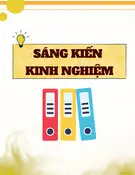 Sáng kiến kinh nghiệm: Giải pháp nâng cao hiệu quả quản lý trật tự đô thị, trật tự an toàn giao thông trên địa bàn thị xã Đức Phổ