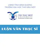 Luận văn Thạc sĩ Lịch sử Việt Nam: Quá trình Công nghiệp hóa - Đô thị hóa ở thị xã Tân Uyên, tỉnh Bình Dương (1997-2017)
