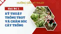 Kỹ Thuật Trồng Trọt Và Chăm Sóc Cây Trồng