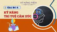 Kỹ Năng Trí Tuệ Cảm Xúc