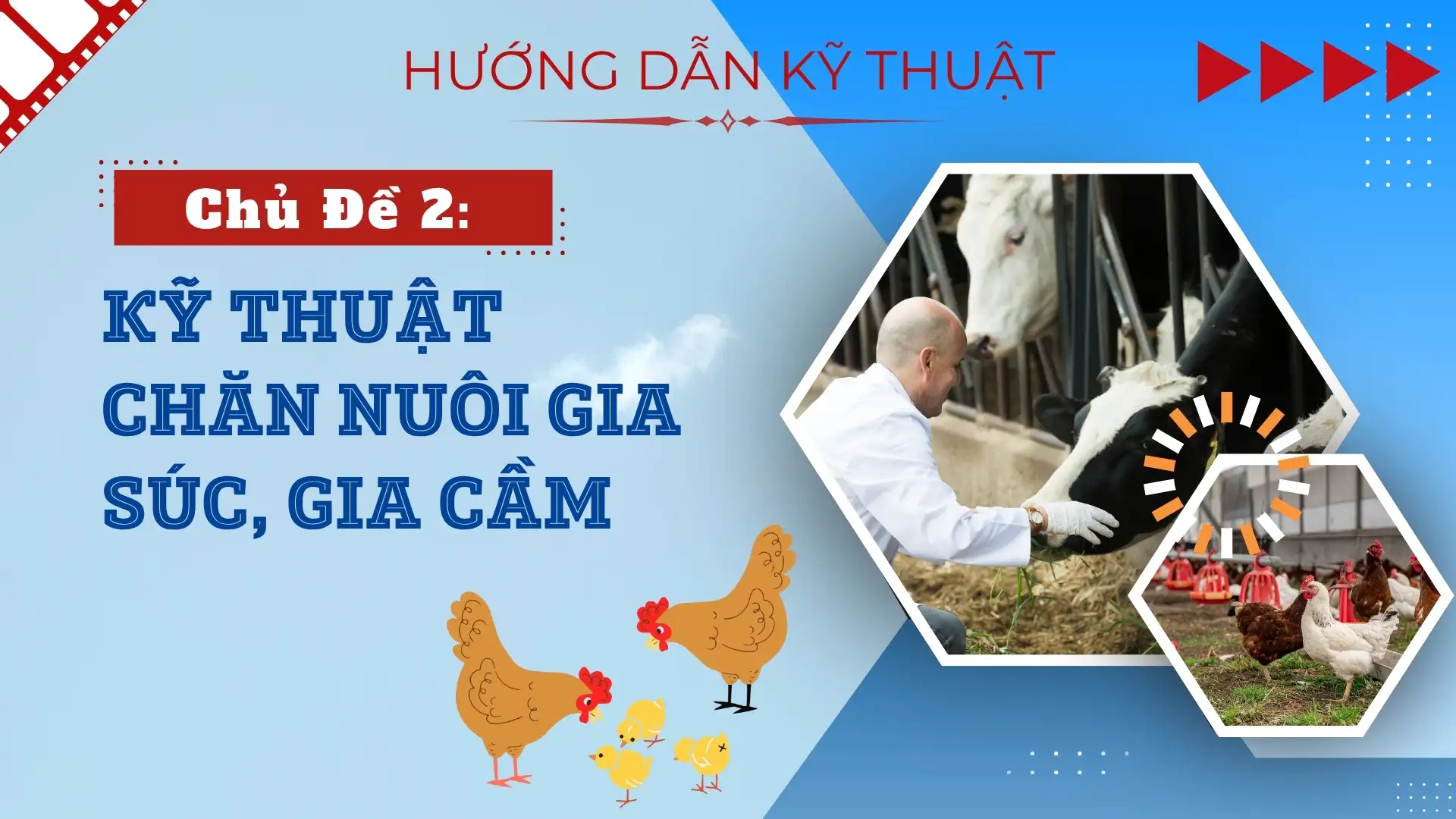 Kỹ Thuật Chăn Nuôi Gia Súc, Gia Cầm