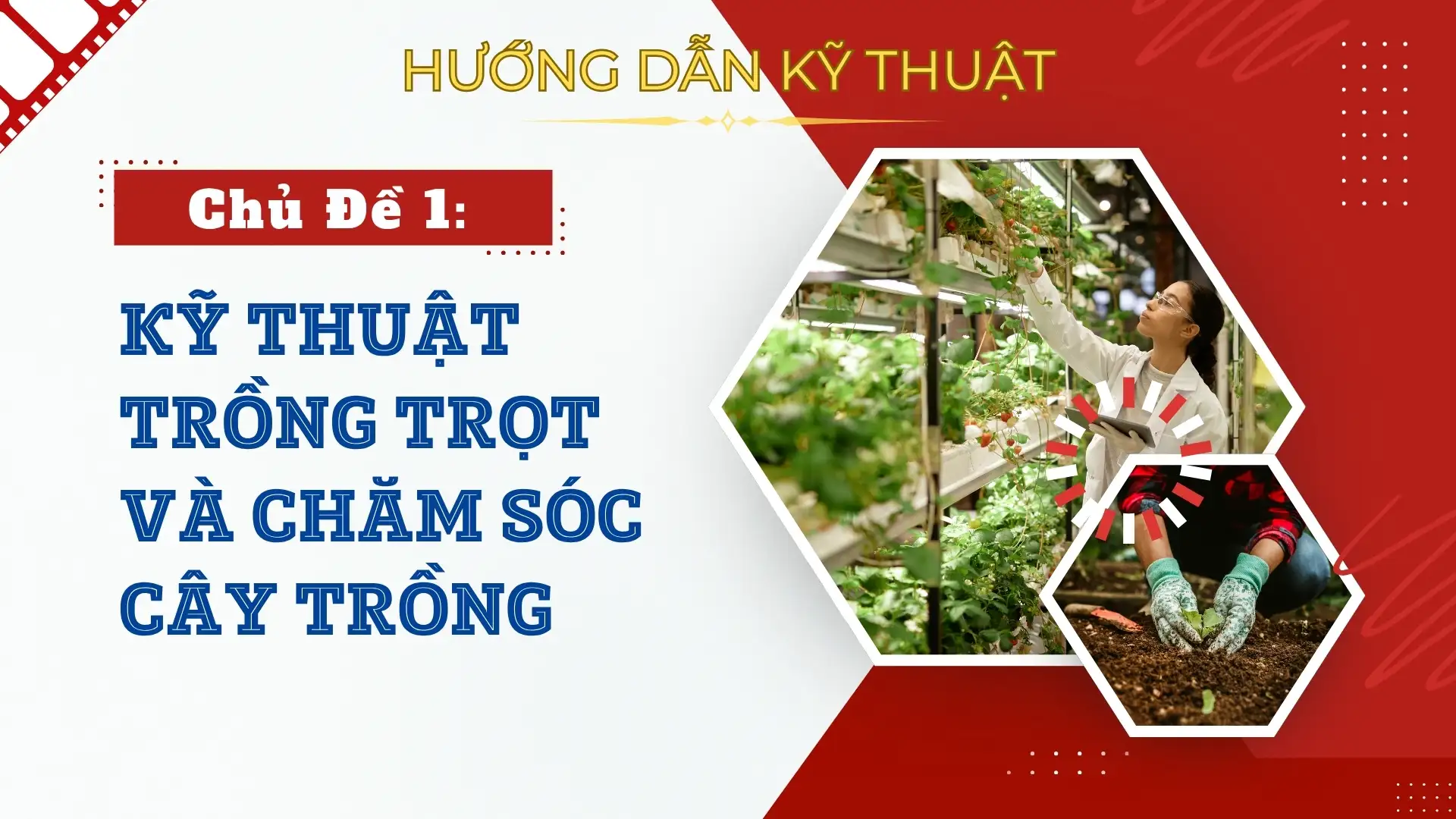 Kỹ Thuật Trồng Trọt Và Chăm Sóc Cây Trồng