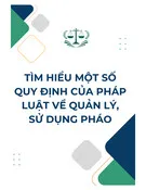 Tìm hiểu một số quy định của pháp luật về quản lý, sử dụng pháo