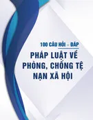 100 câu hỏi – đáp pháp luật về phòng, chống tệ nạn xã hội (Tài liệu phổ biến, giáo dục pháp luật thuộc Dự án 4 - Chương trình mục tiêu phát triển hệ thống trợ giúp xã hội)