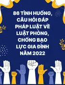 86 tình huống, câu hỏi đáp pháp luật về Luật Phòng, chống bạo lực gia đình năm 2022