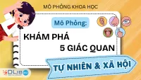 Mô Phỏng: Khám Phá Các Giác Quan Của Cơ Thể - Tự Nhiên Và Xã Hội 1