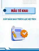 Mẫu Tờ khai cấp bản sao trích lục hộ tịch