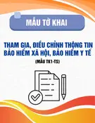 Mẫu Tờ khai tham gia, điều chỉnh thông tin bảo hiểm xã hội, bảo hiểm y tế (Mẫu TK1-TS)