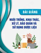 Bài giảng Nuôi trồng, khai thác, xử lý, bảo quản và sử dụng dược liệu - ThS. Vũ Huỳnh Kim Long