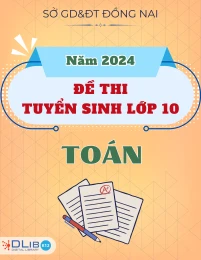Đề Thi Tuyển Sinh Lớp 10 Năm 2024 - Toán - Đồng Nai