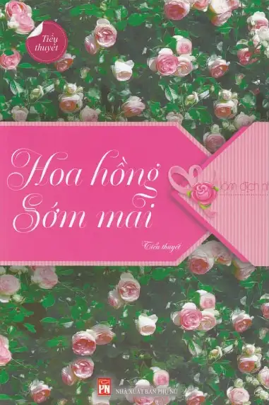 Hoa hồng sớm mai
