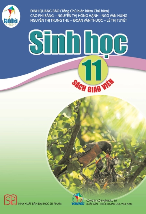 Sách giáo viên Sinh học 11 - Cánh diều