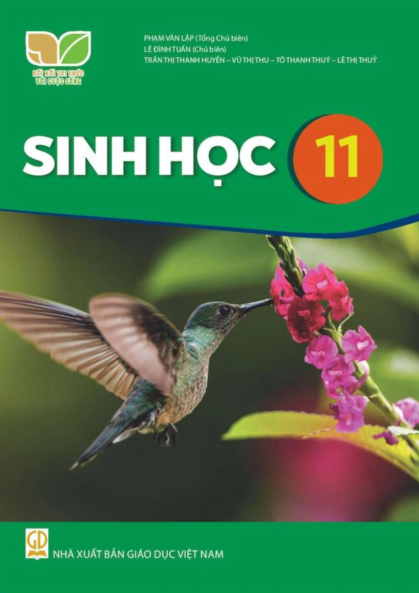 Sách giáo khoa Sinh học 11 - Kết nối tri thức